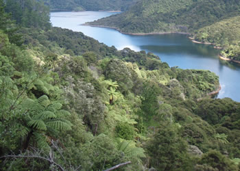 hunua.jpg